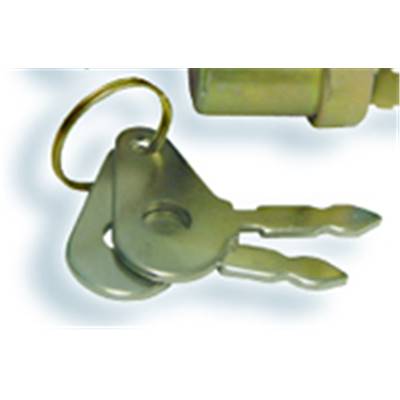 Plant Ignition Key Switch Spare Keys