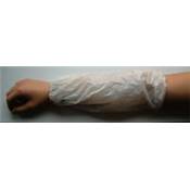 Disposable Armlets - Pack of 10